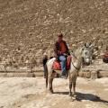 Sharqia chat